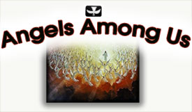 SCRC  Angels Among Us  Event Details