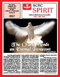 Spirit Newsletter May June 2010