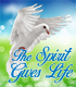 Unlocking the Holy Spirit: A Christian's Best Kept Secret for Living a Meaningful Life