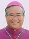 Bishop Dominic Luong