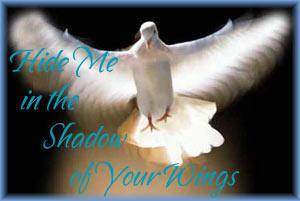 CD Set: SCRC 2010 Retreat: "Hide Me in the Shadow of Your Wings"